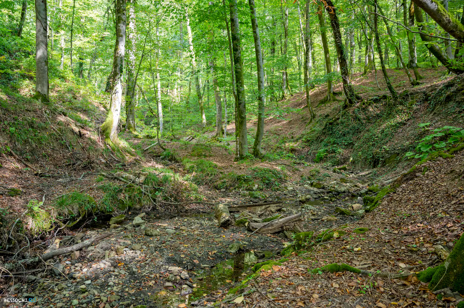 река Кудепста