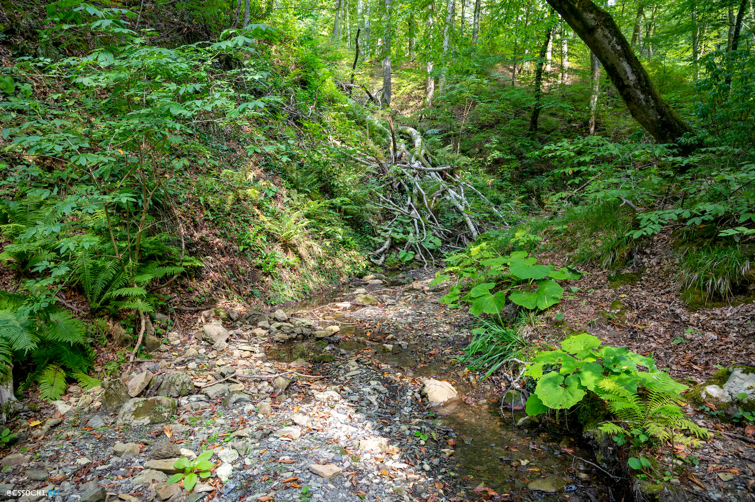 река Кудепста