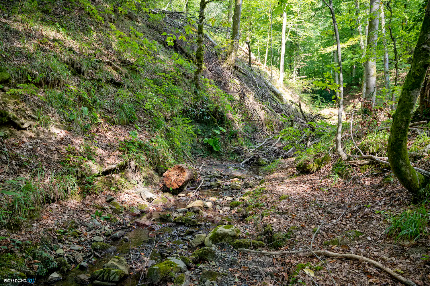 река Кудепста