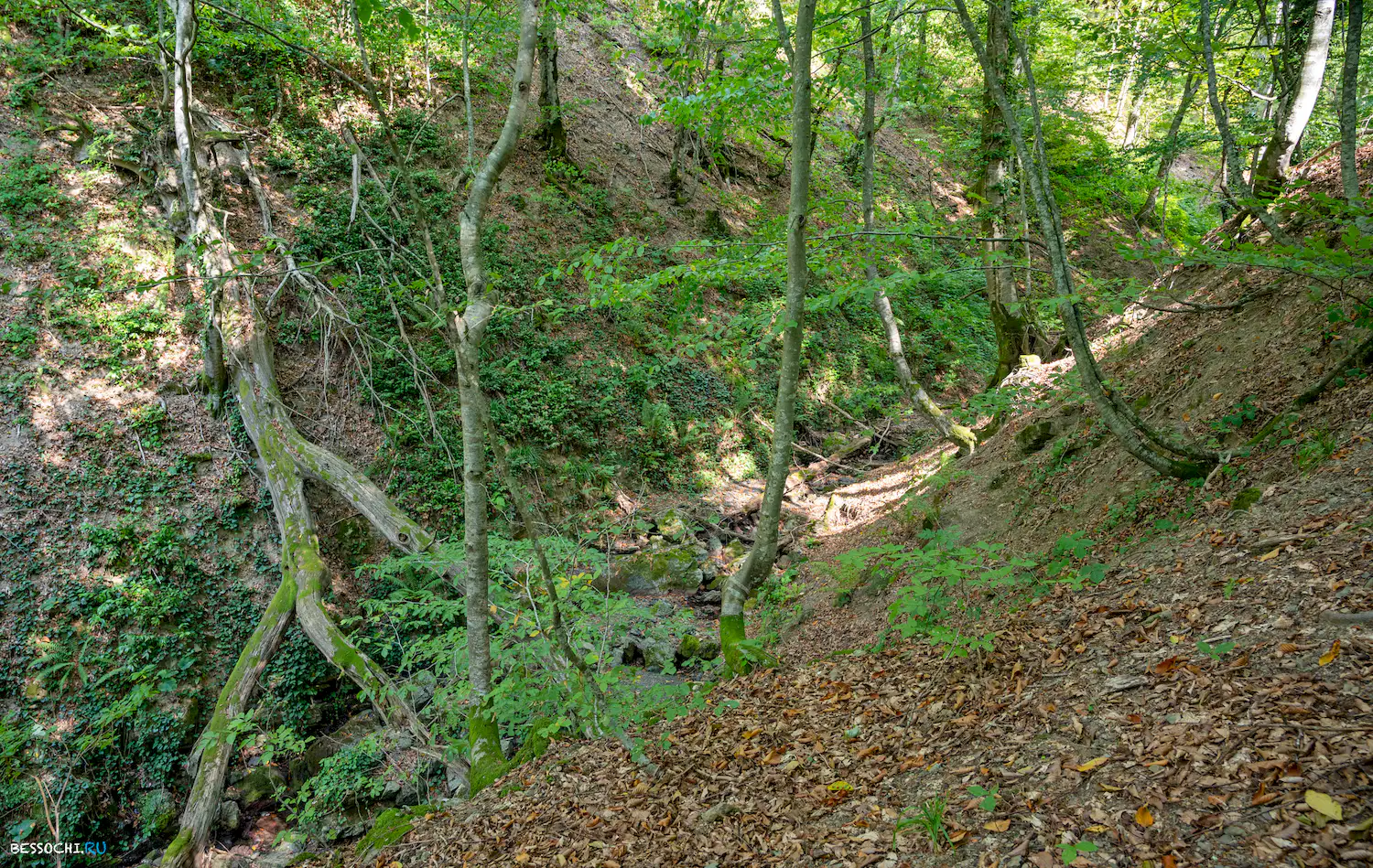 река Кудепста