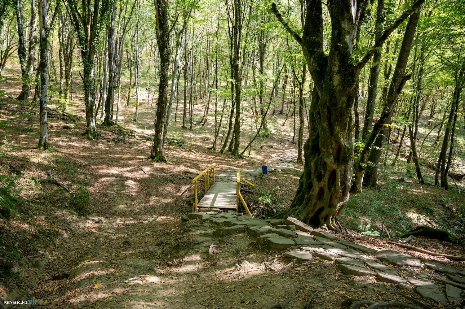 Воронцовские пещеры