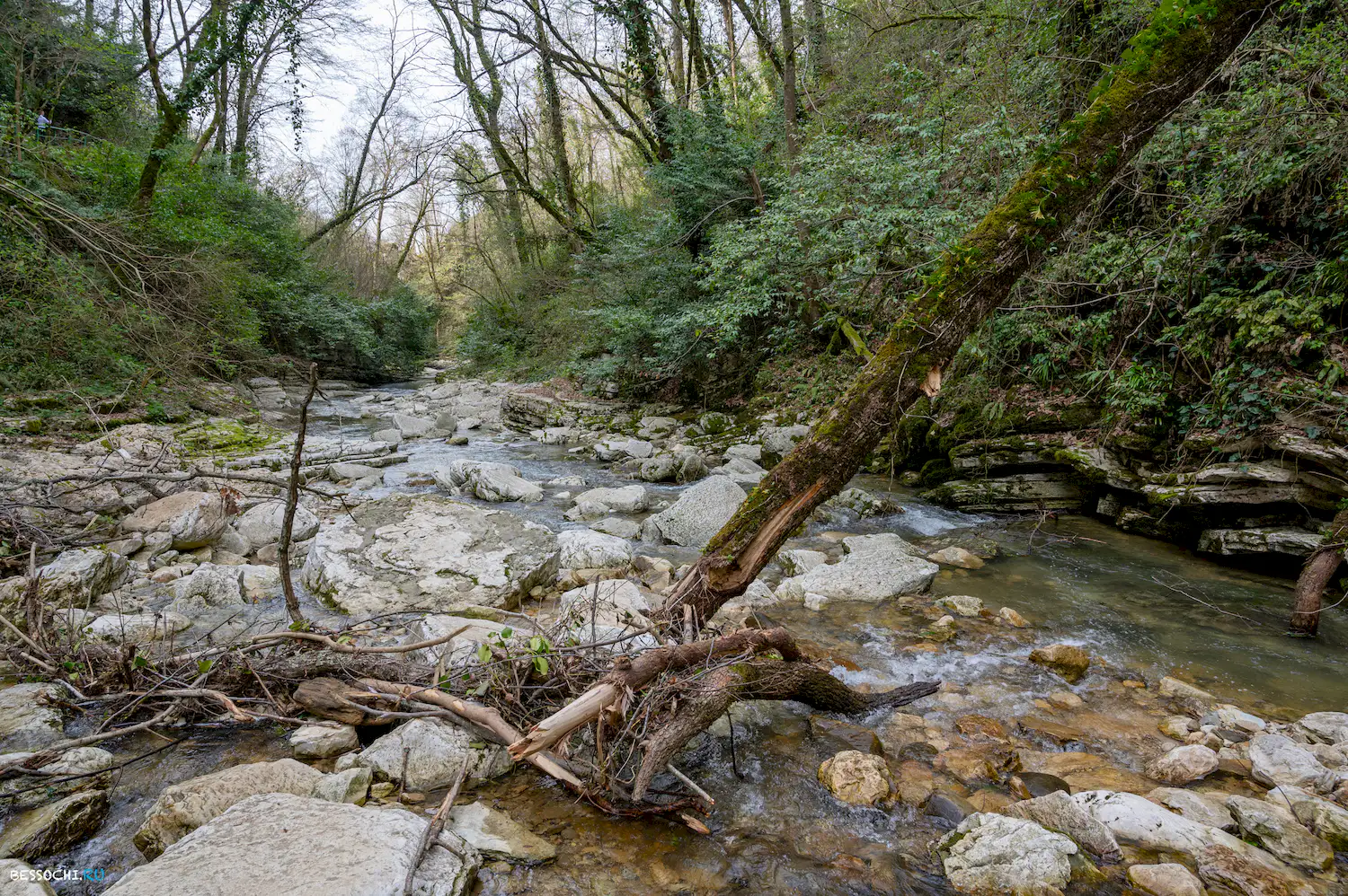 Чертова купель