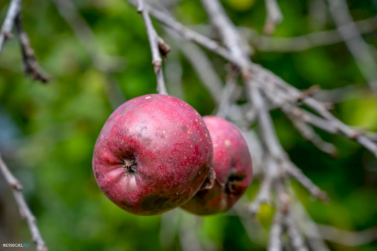 яркие краски осени