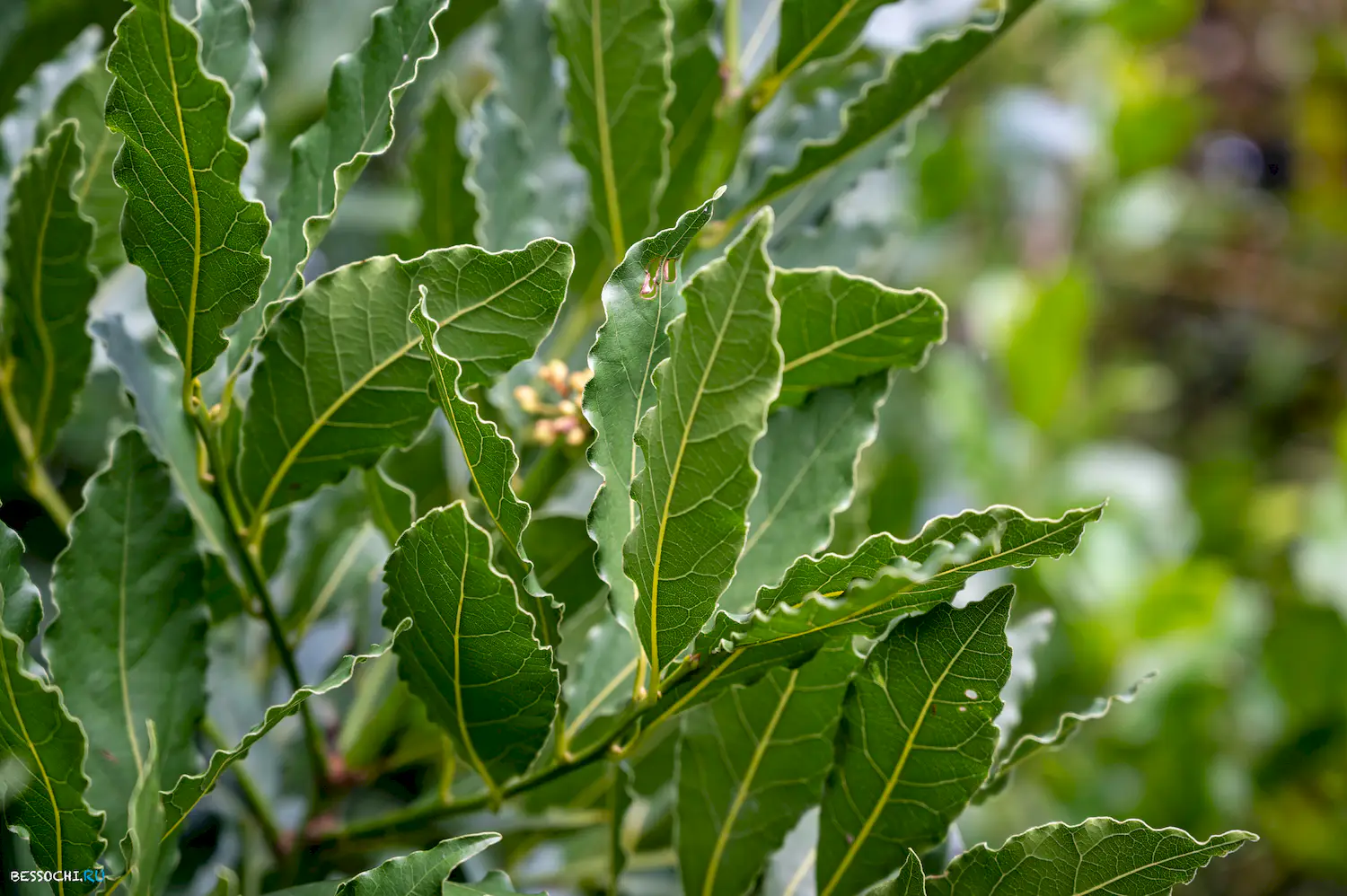 яркие краски осени
