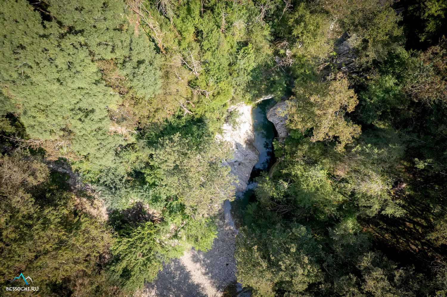 Красная воля