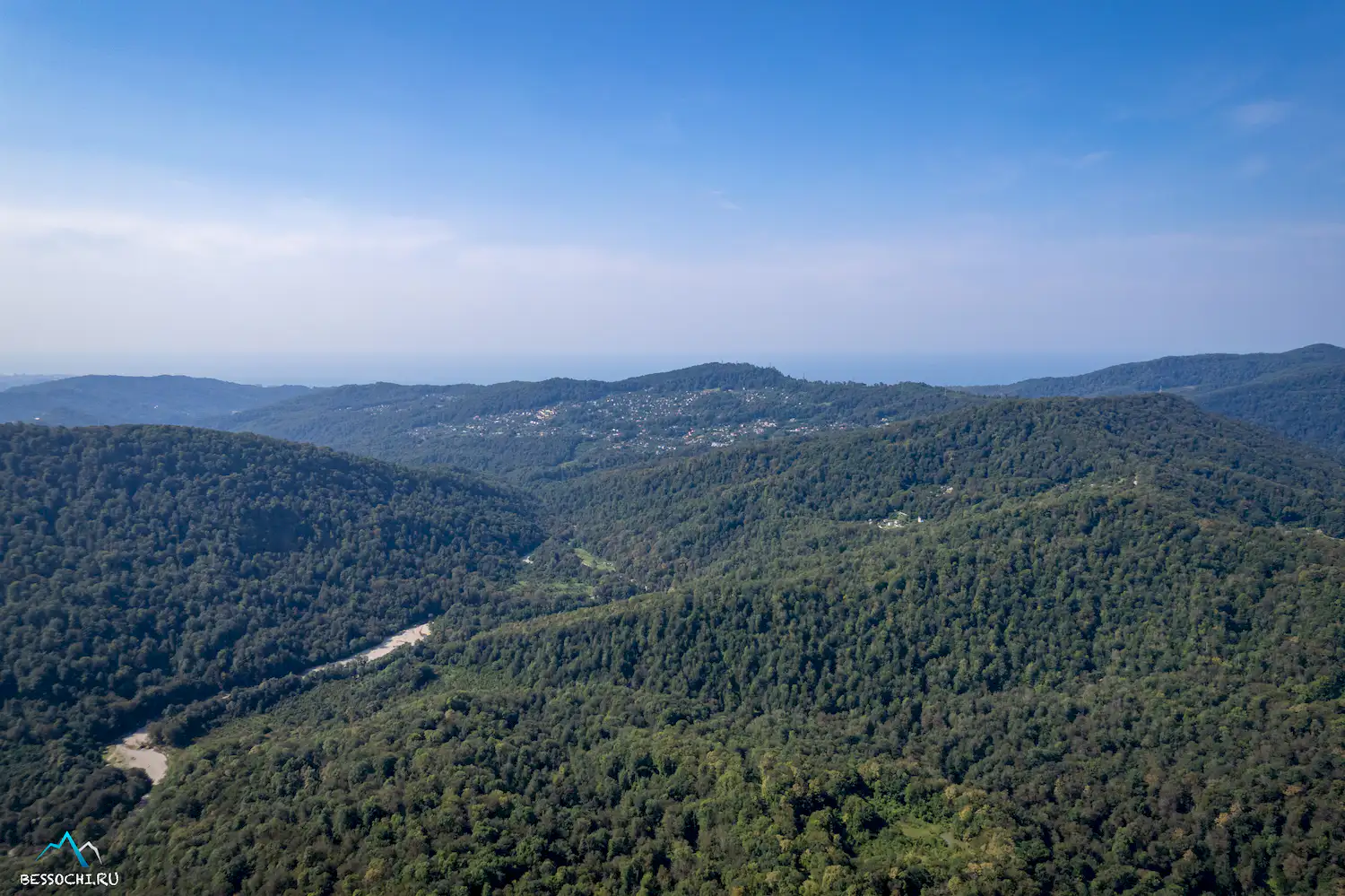 Красная воля