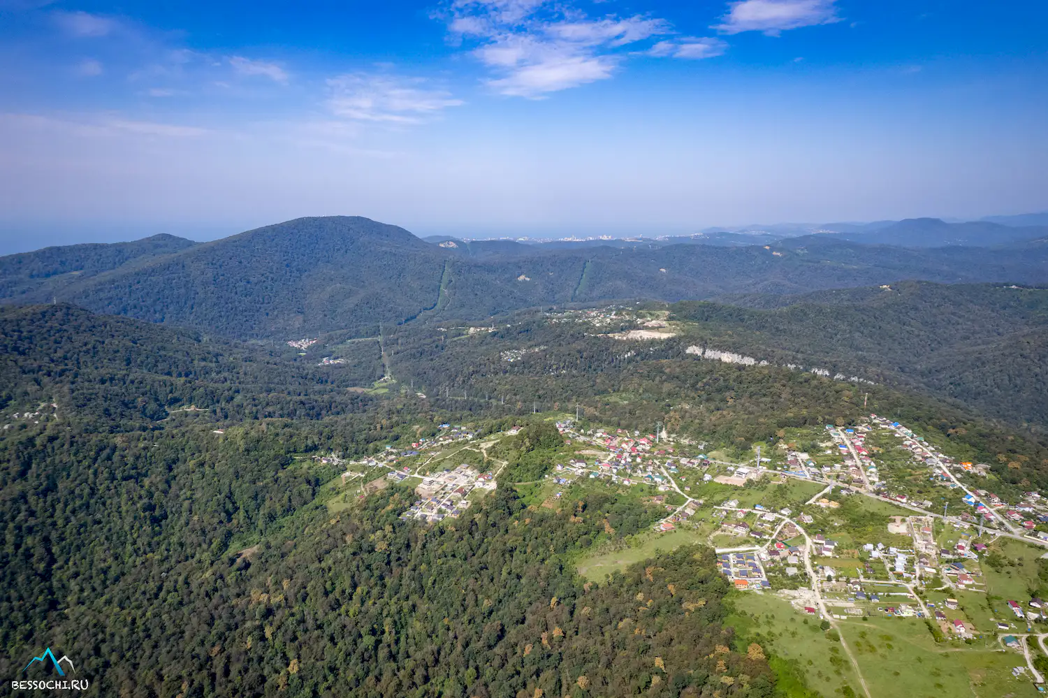 Красная воля