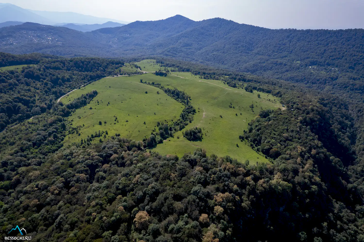 Красная воля