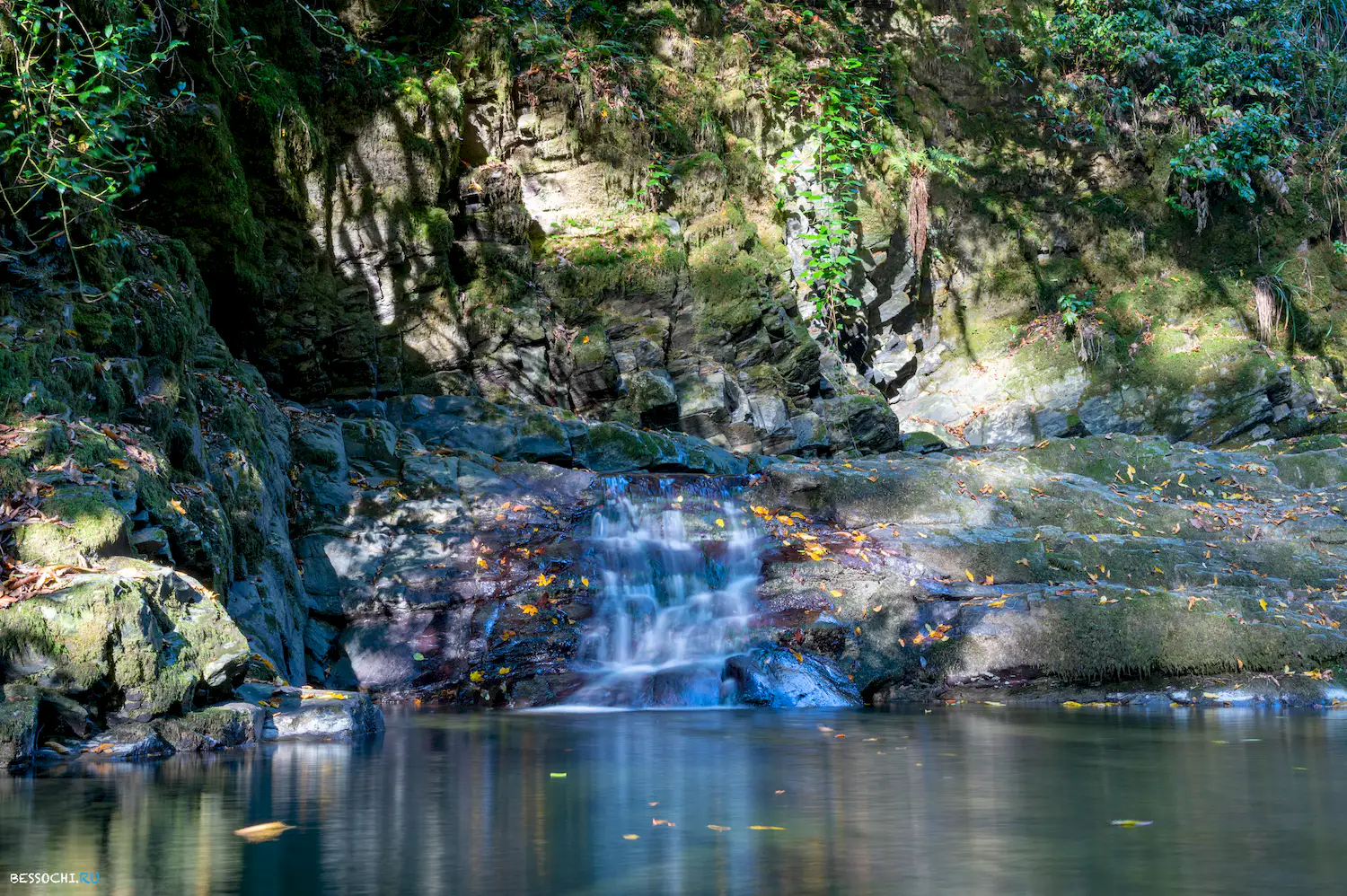 ручей сванидзе