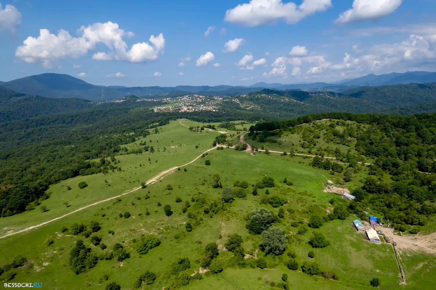 Красная воля