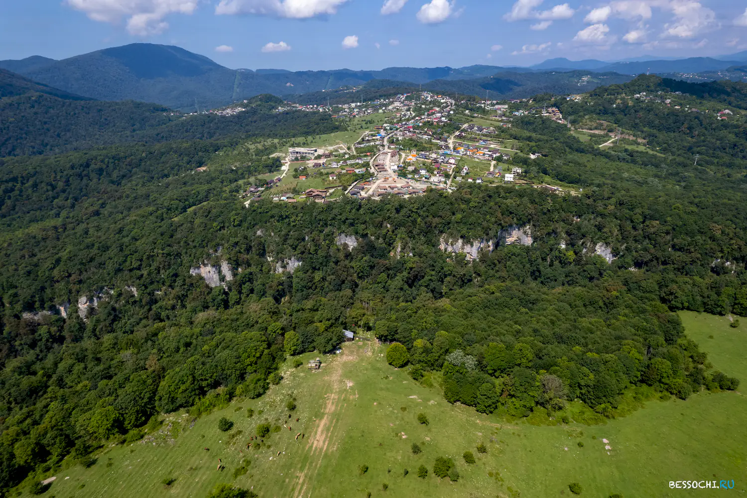 красная воля