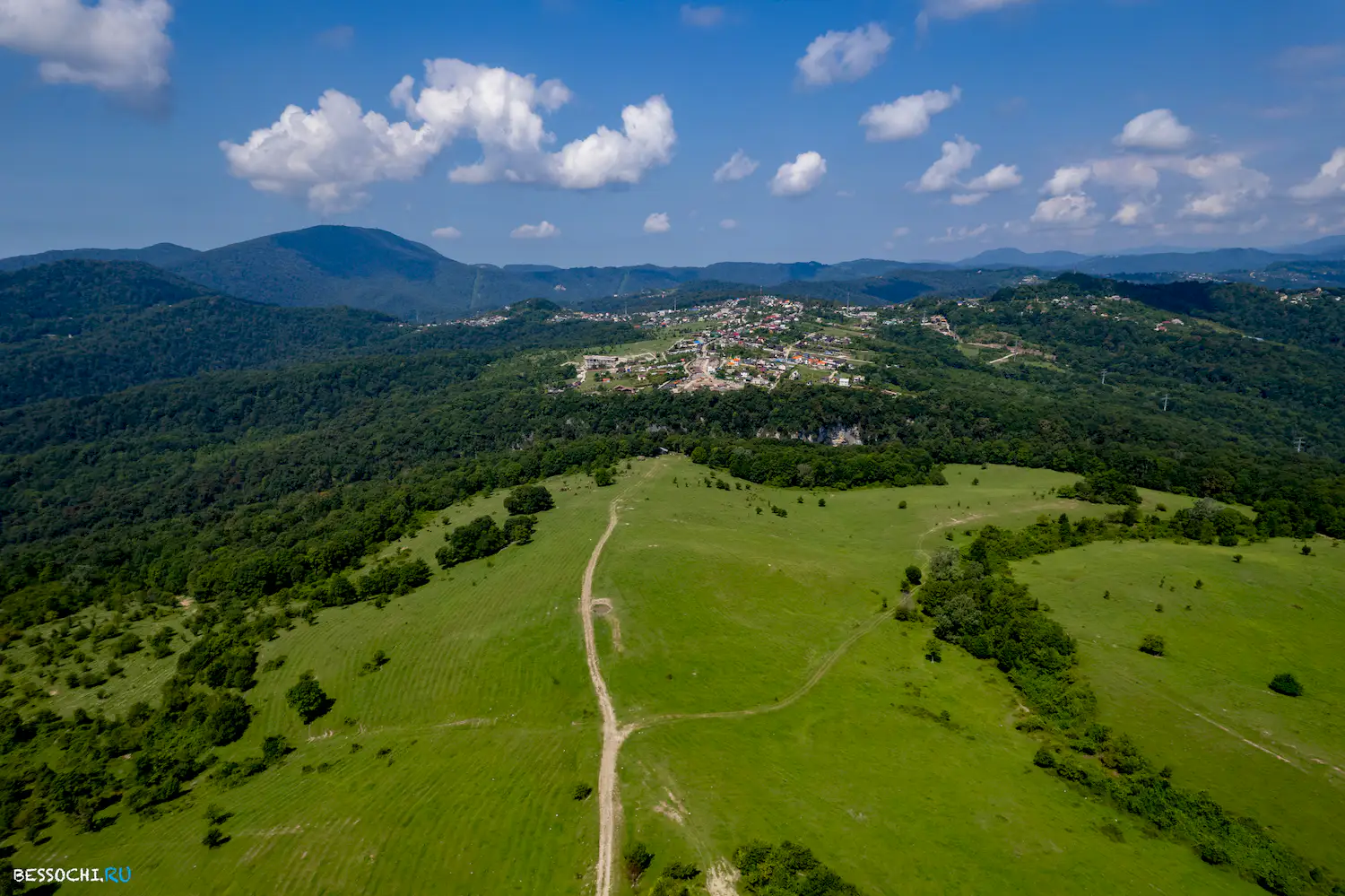 Красная воля