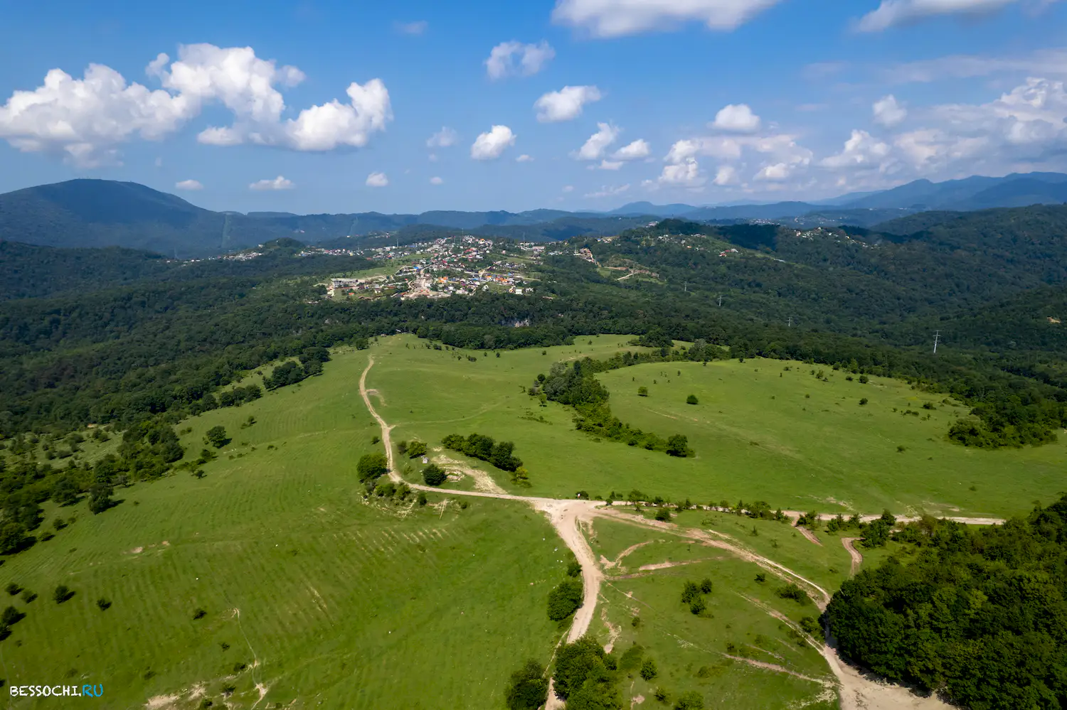 Красная воля