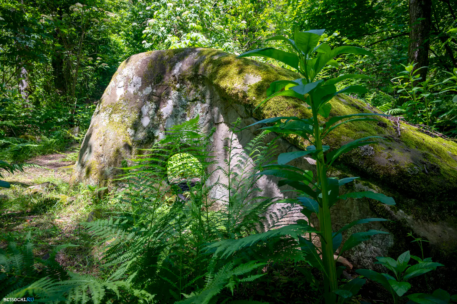 дольмен катковой щели