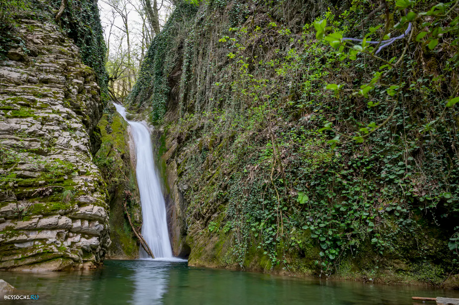 Чудо Красотка