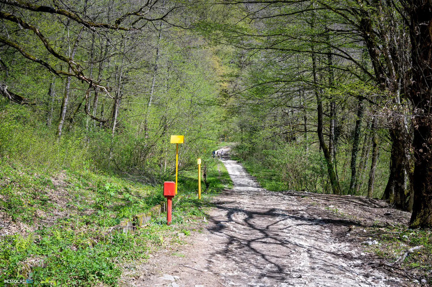 Кругозор Ефремова