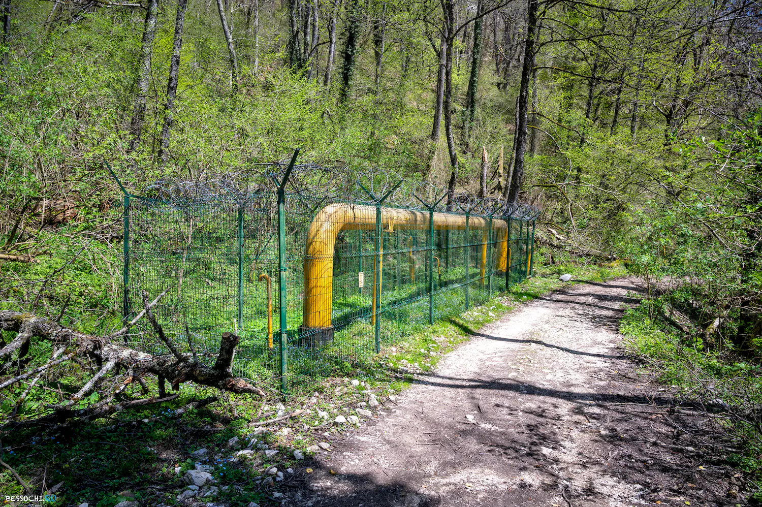 Кругозор Ефремова