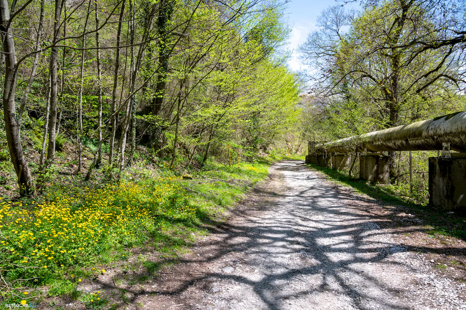 Кругозор Ефремова