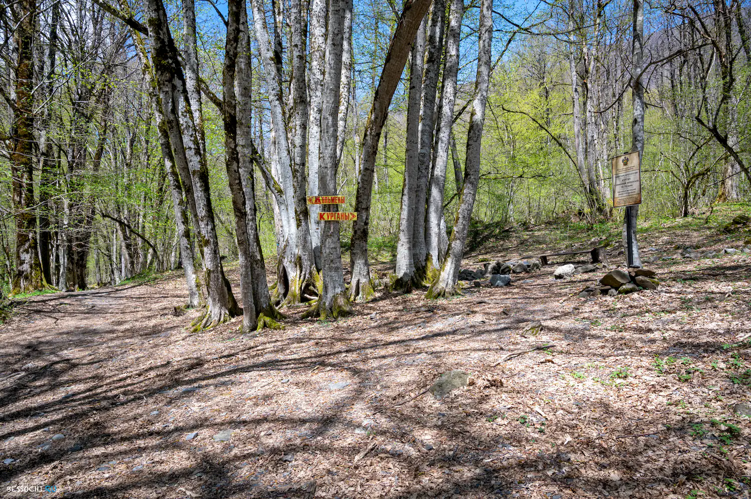 Дольмены Красной поляны