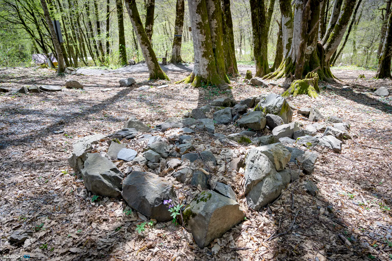 Дольмены Красной поляны