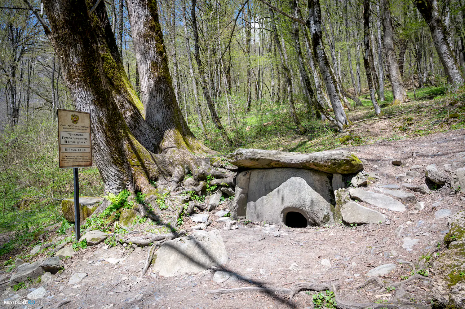 Дольмены Красной поляны