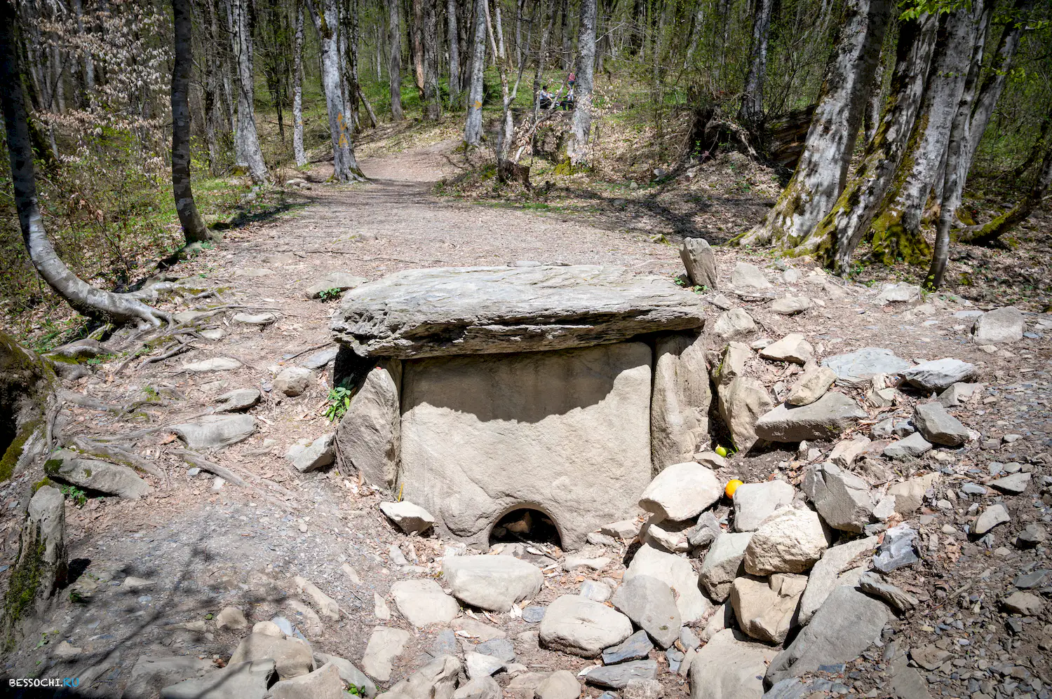 Дольмены Красной поляны