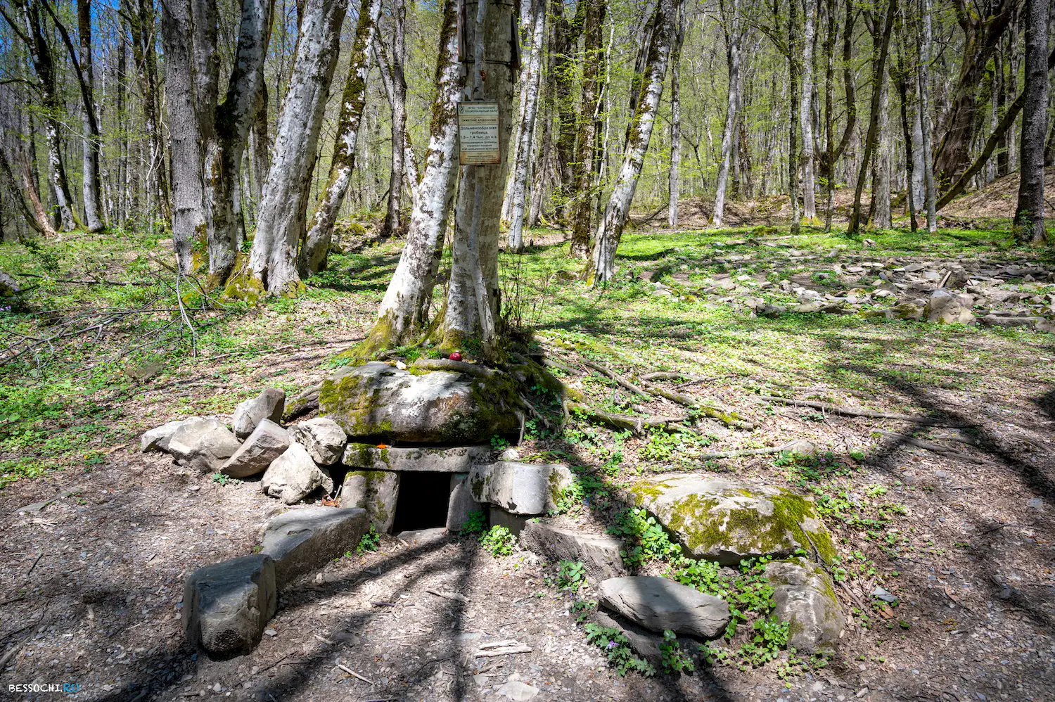 Дольмены Красной поляны