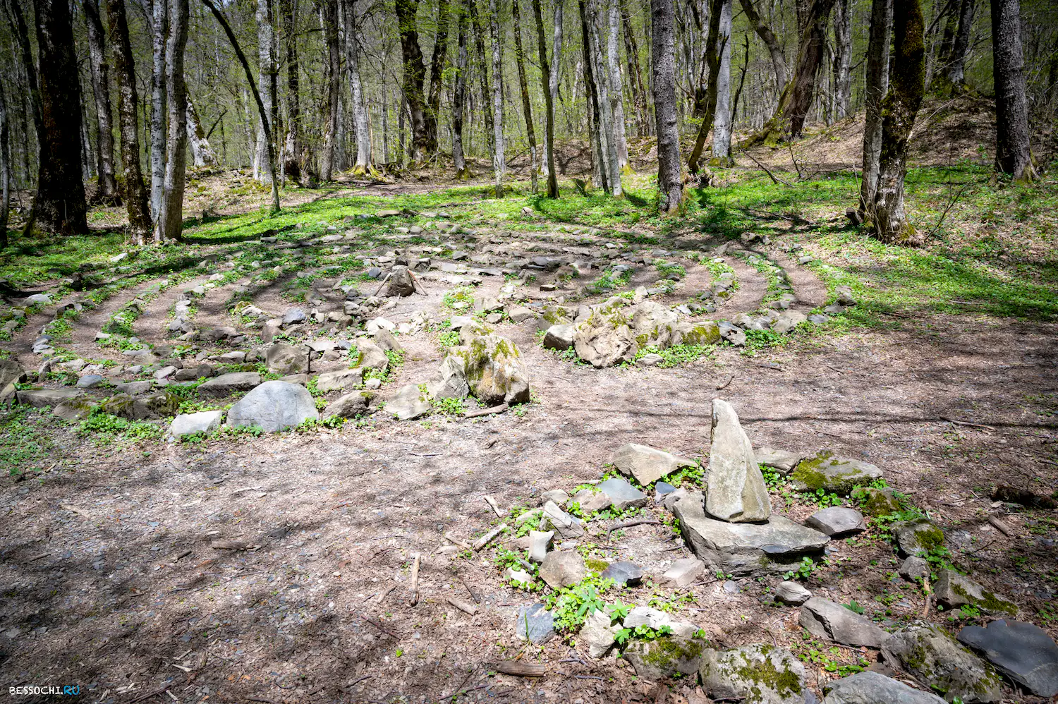 Дольмены Красной поляны