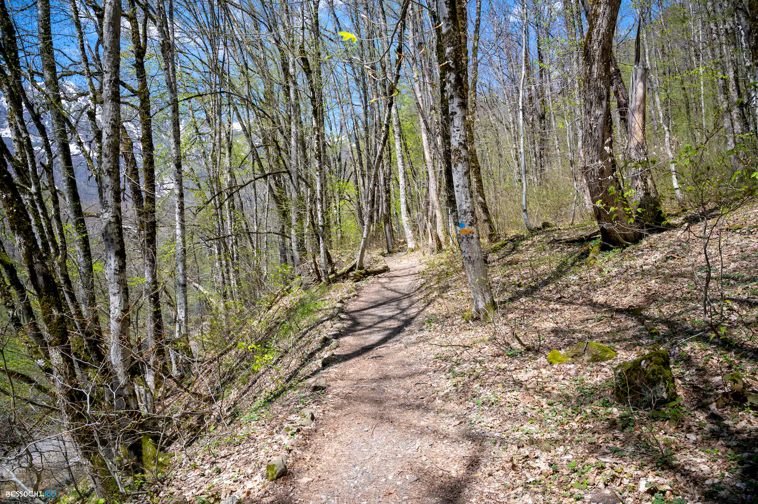 Дольмены Красной поляны