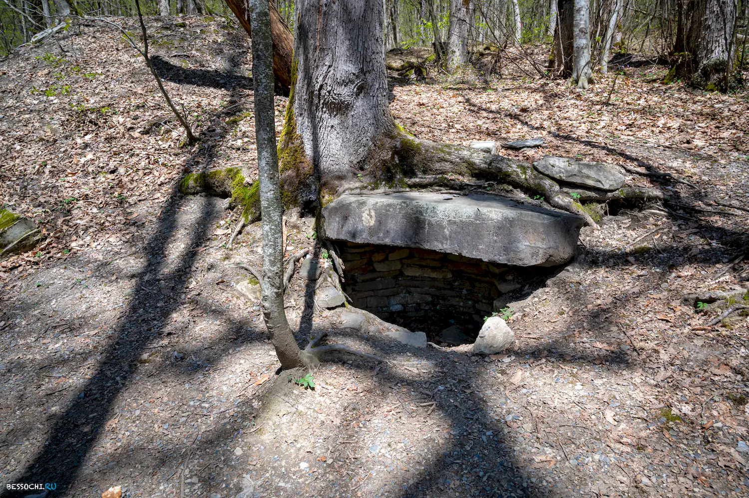 Дольмены Красной поляны