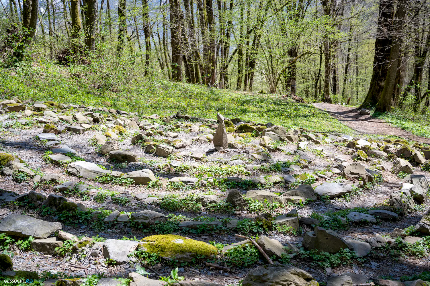 Дольмены Красной поляны