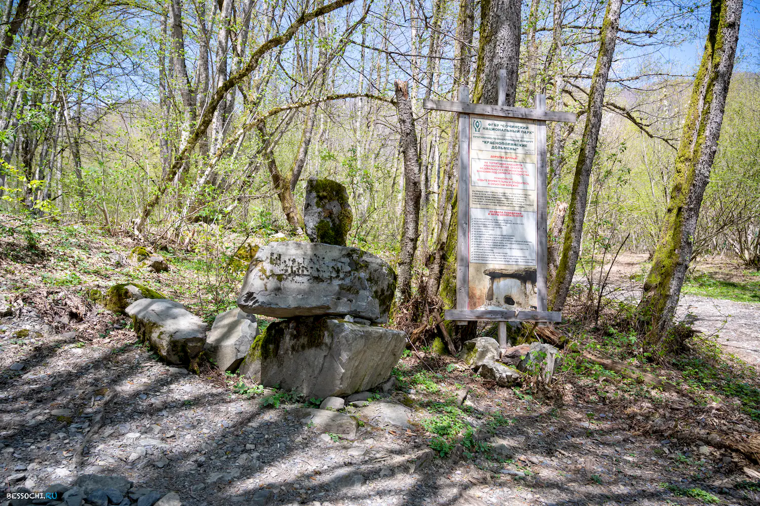 Дольмены Красной поляны