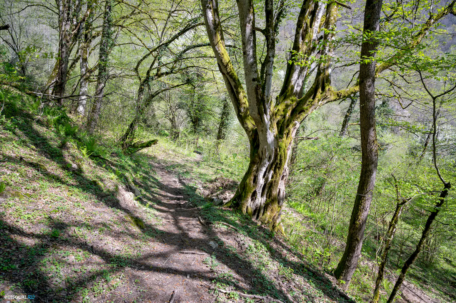 Гора Монашка