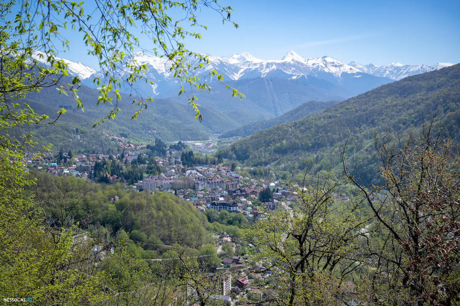 Красная поляна