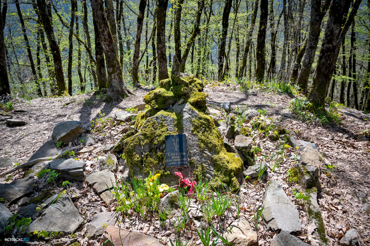 Кругозор Ефремова