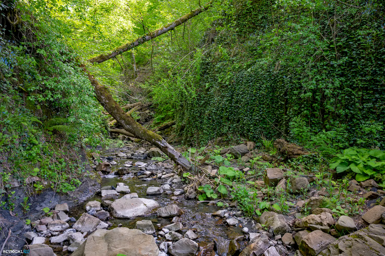 притоки кутарки