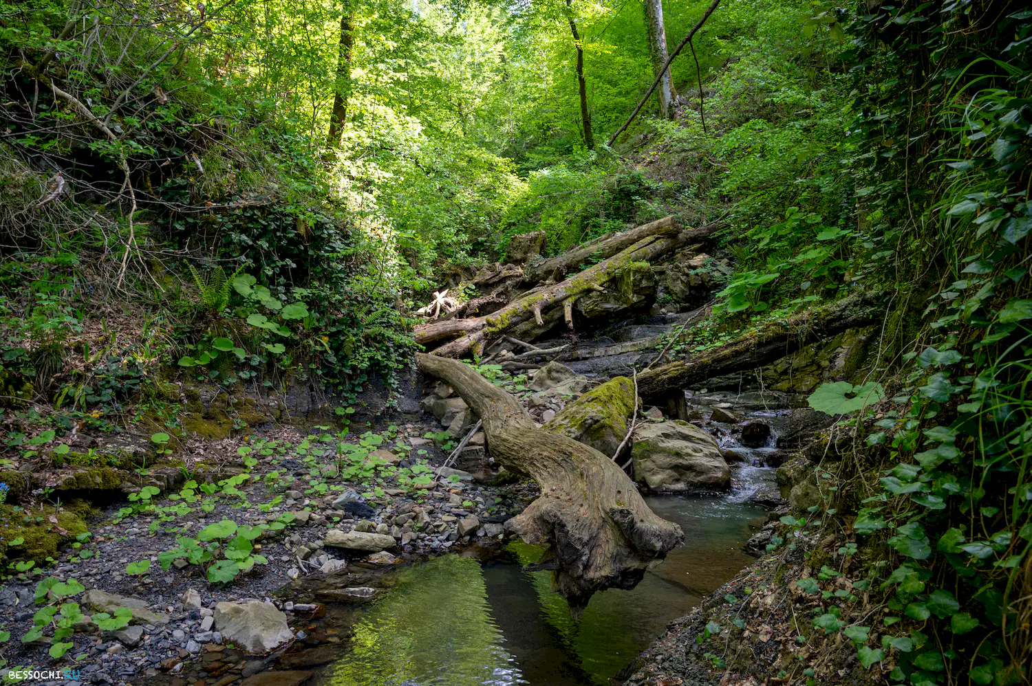 притоки кутарки
