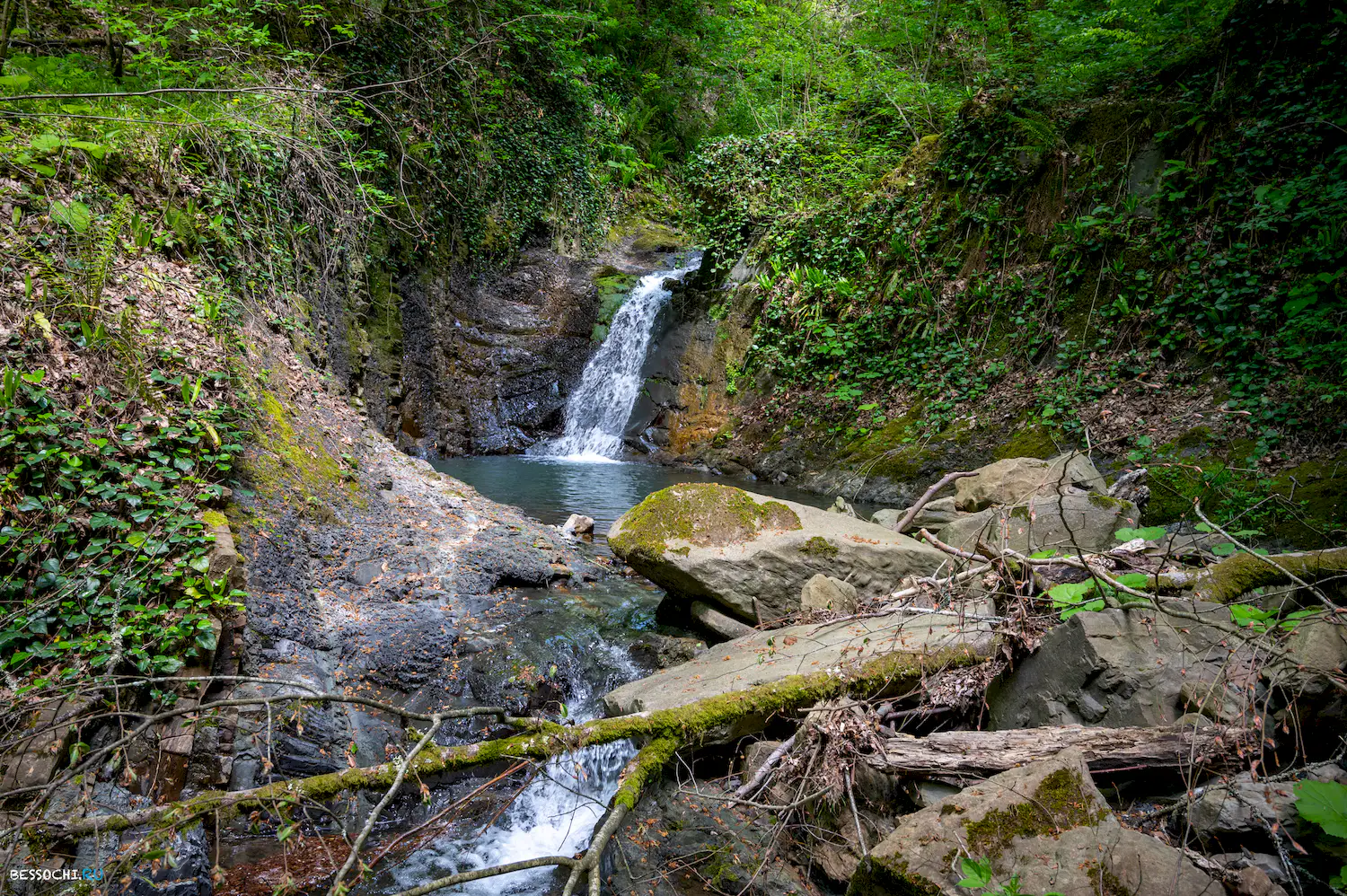 притоки кутарки