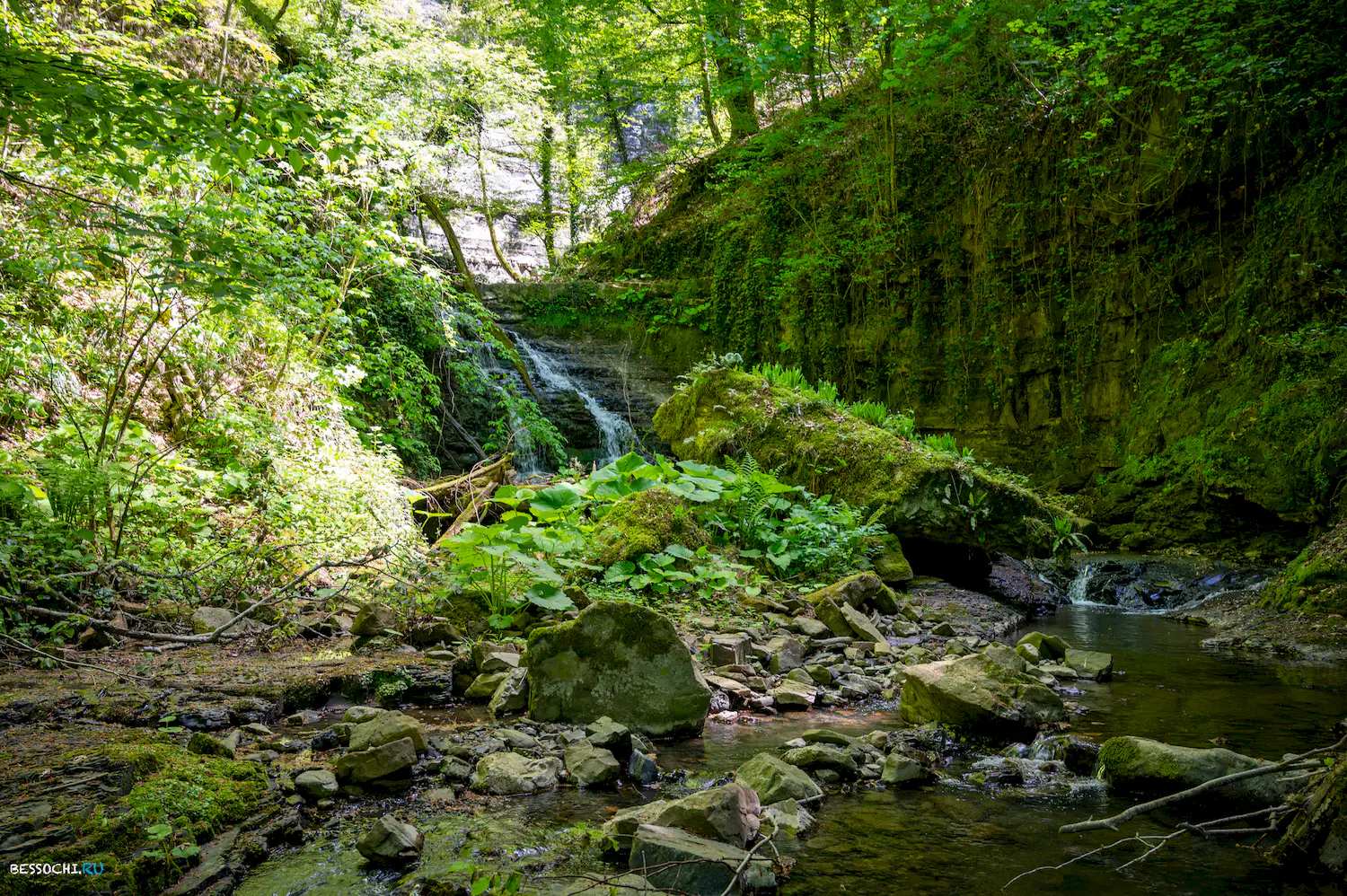 притоки Кутарки