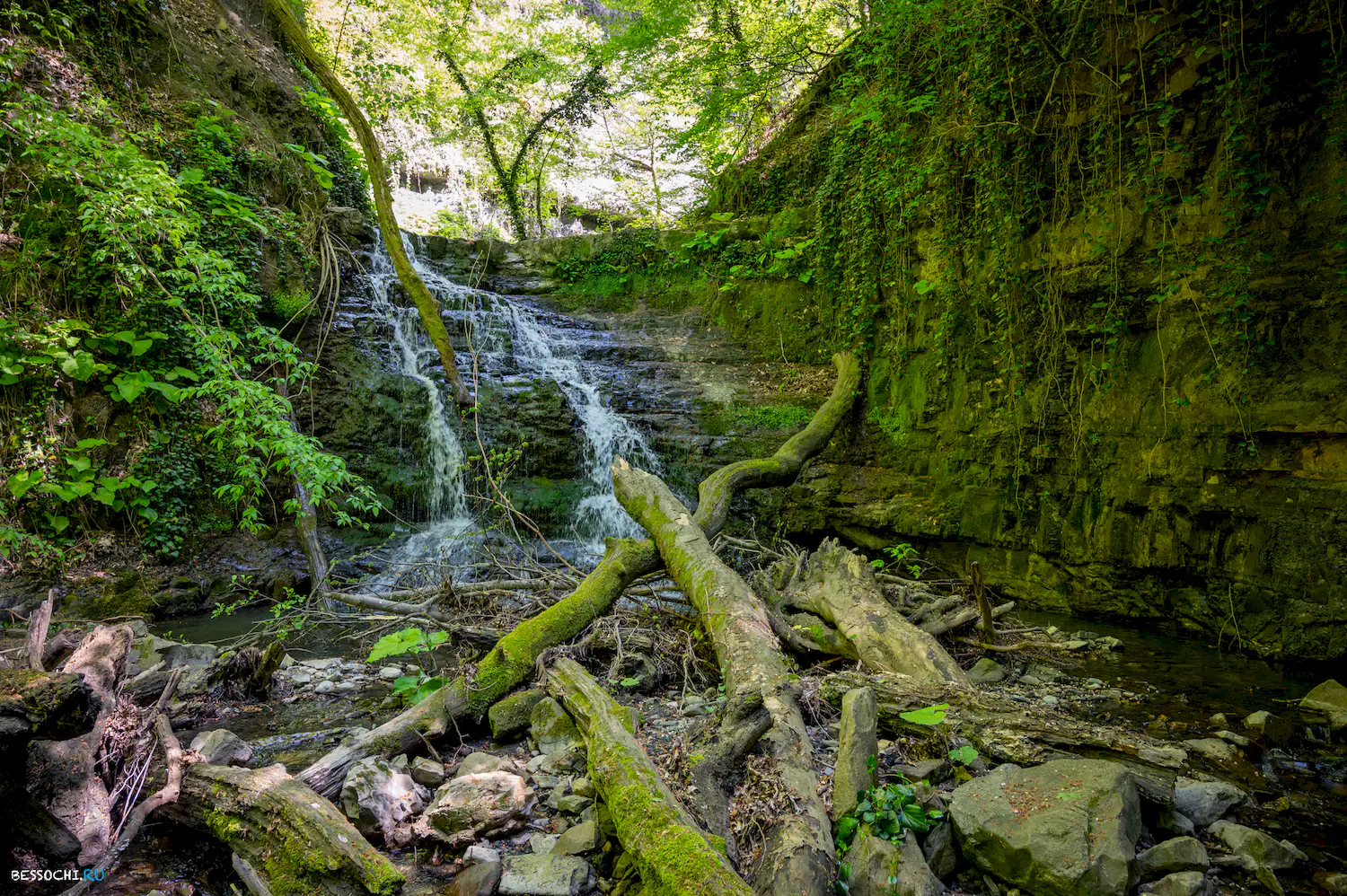 притоки Кутарки