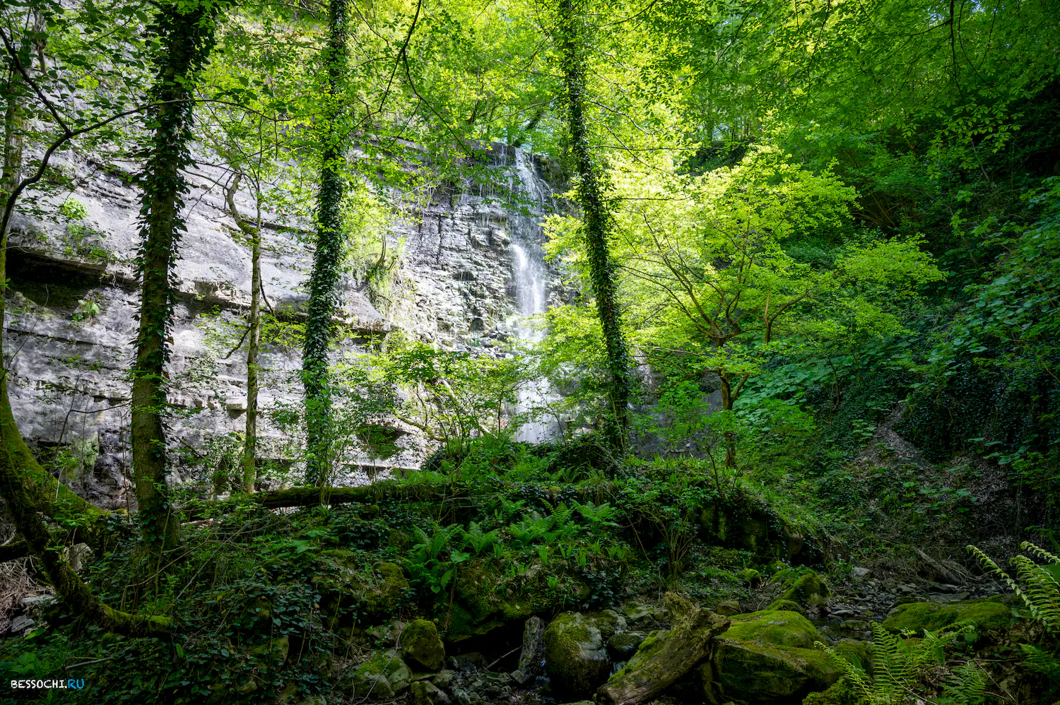 притоки Кутарки