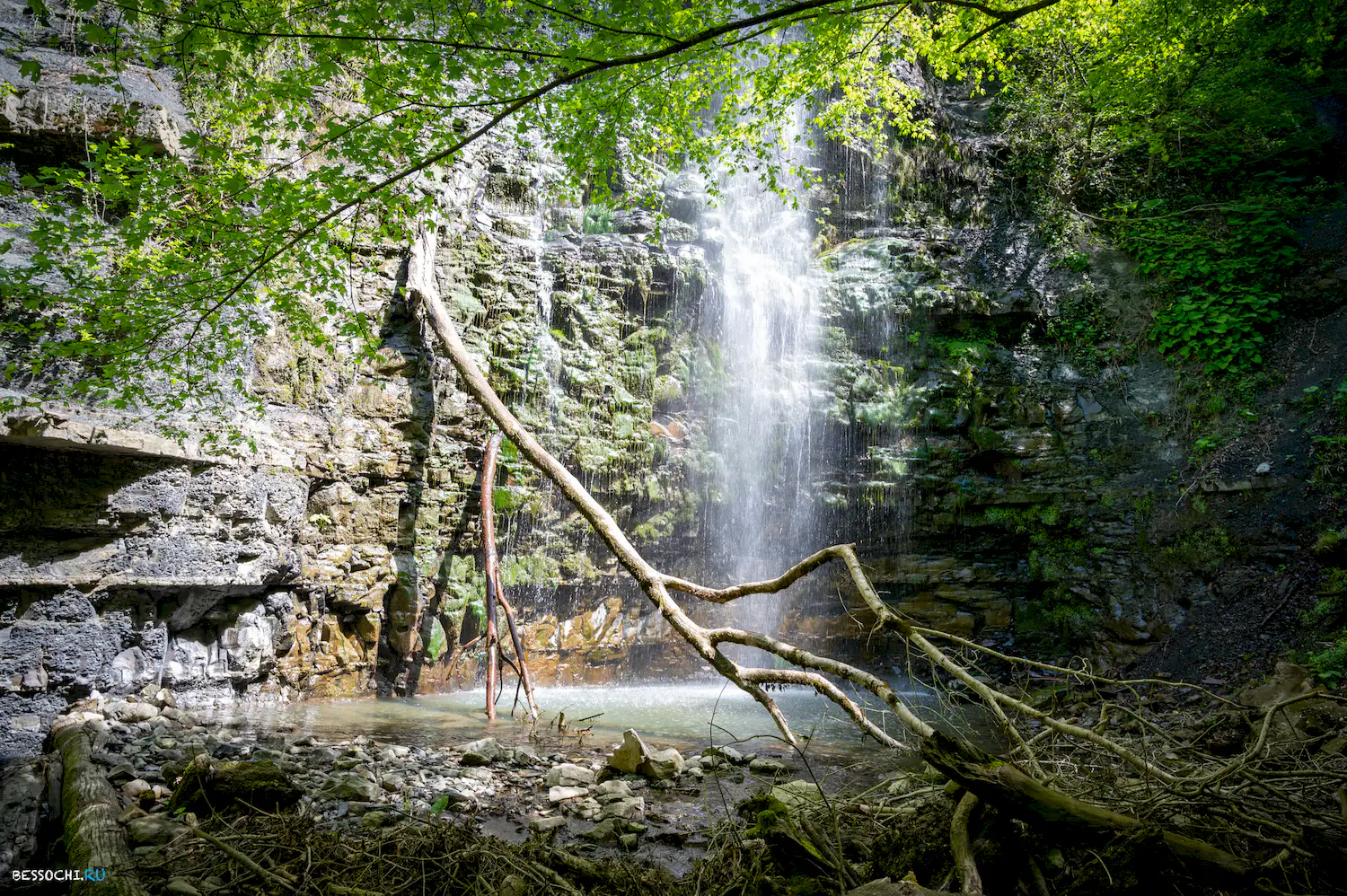 притоки Кутарки