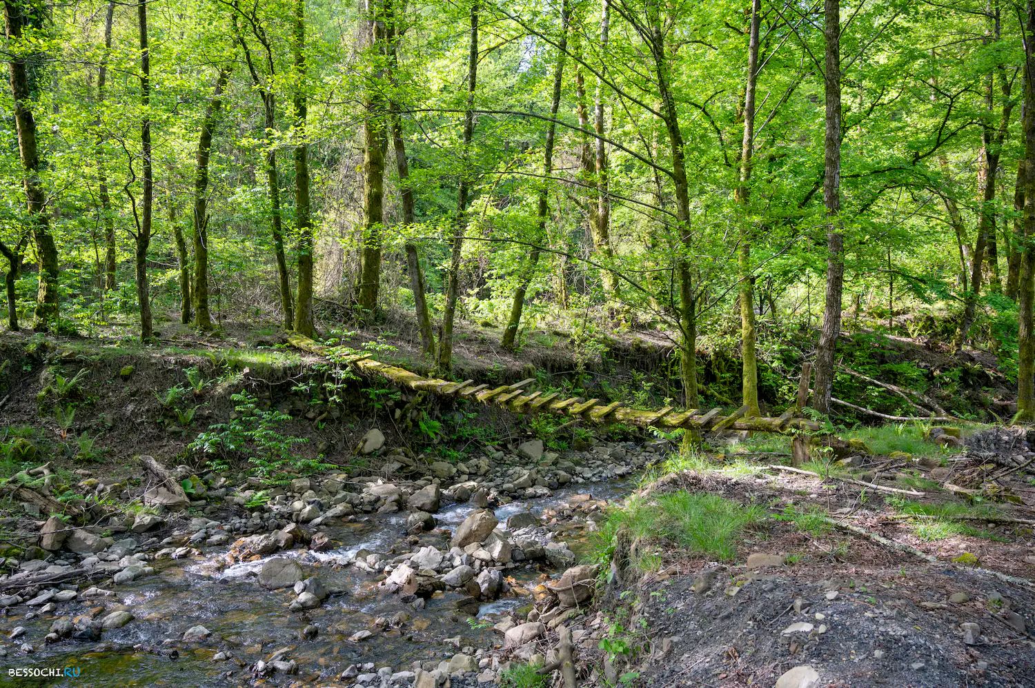 притоки кутарки