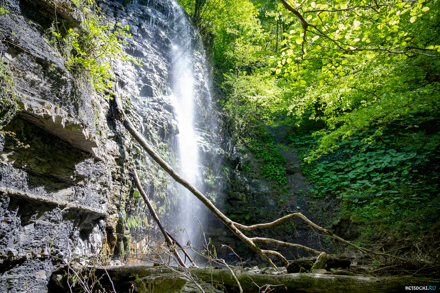 притоки Кутарки