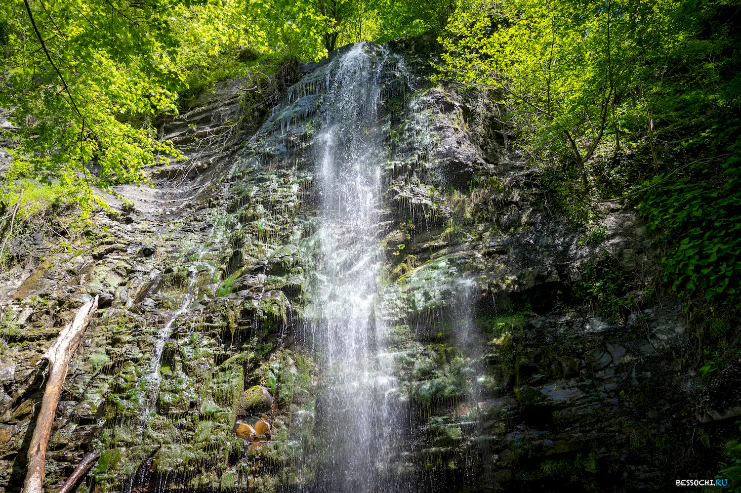 притоки Кутарки