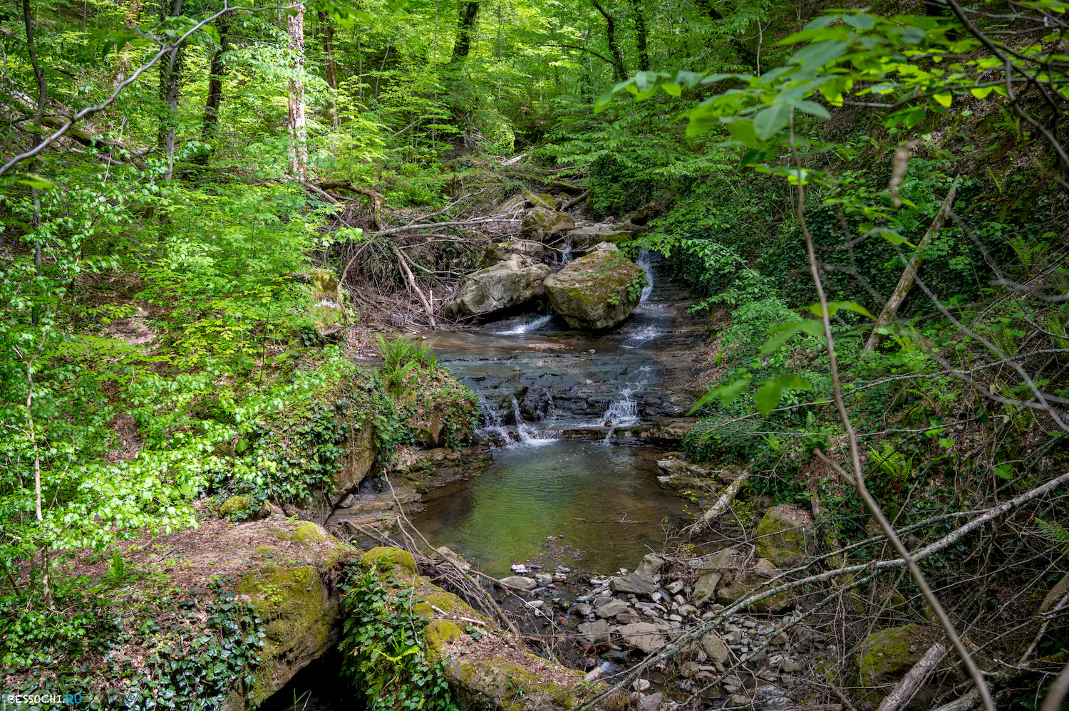 притоки Кутарки
