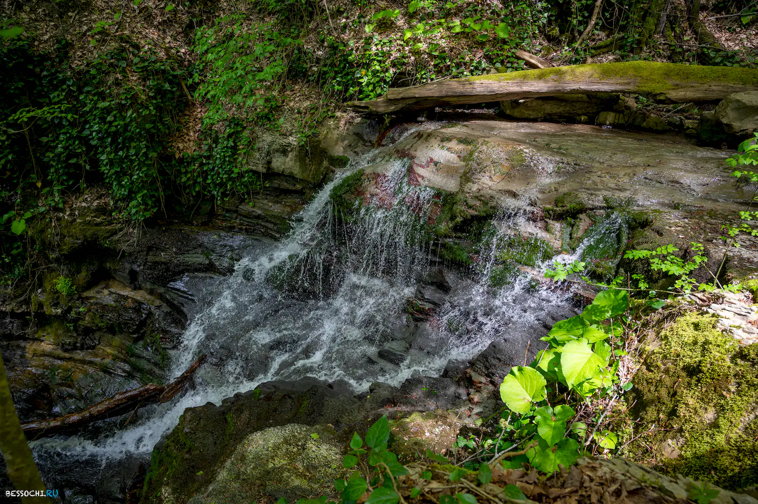 притоки Кутарки