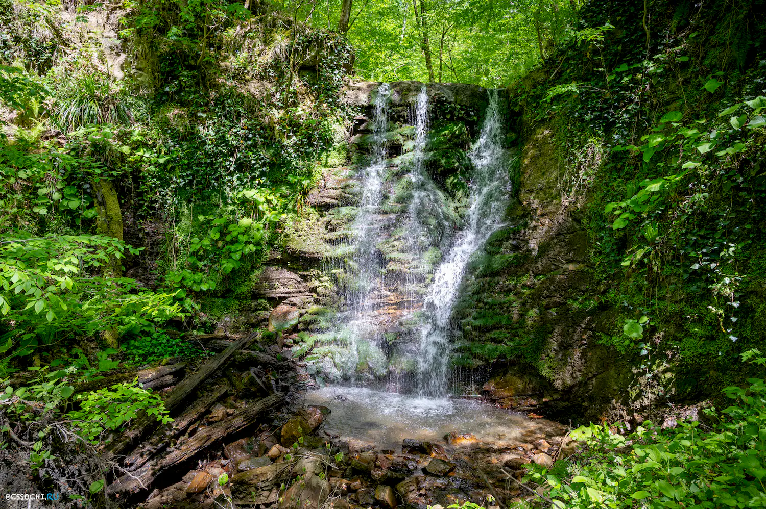 притоки Кутарки