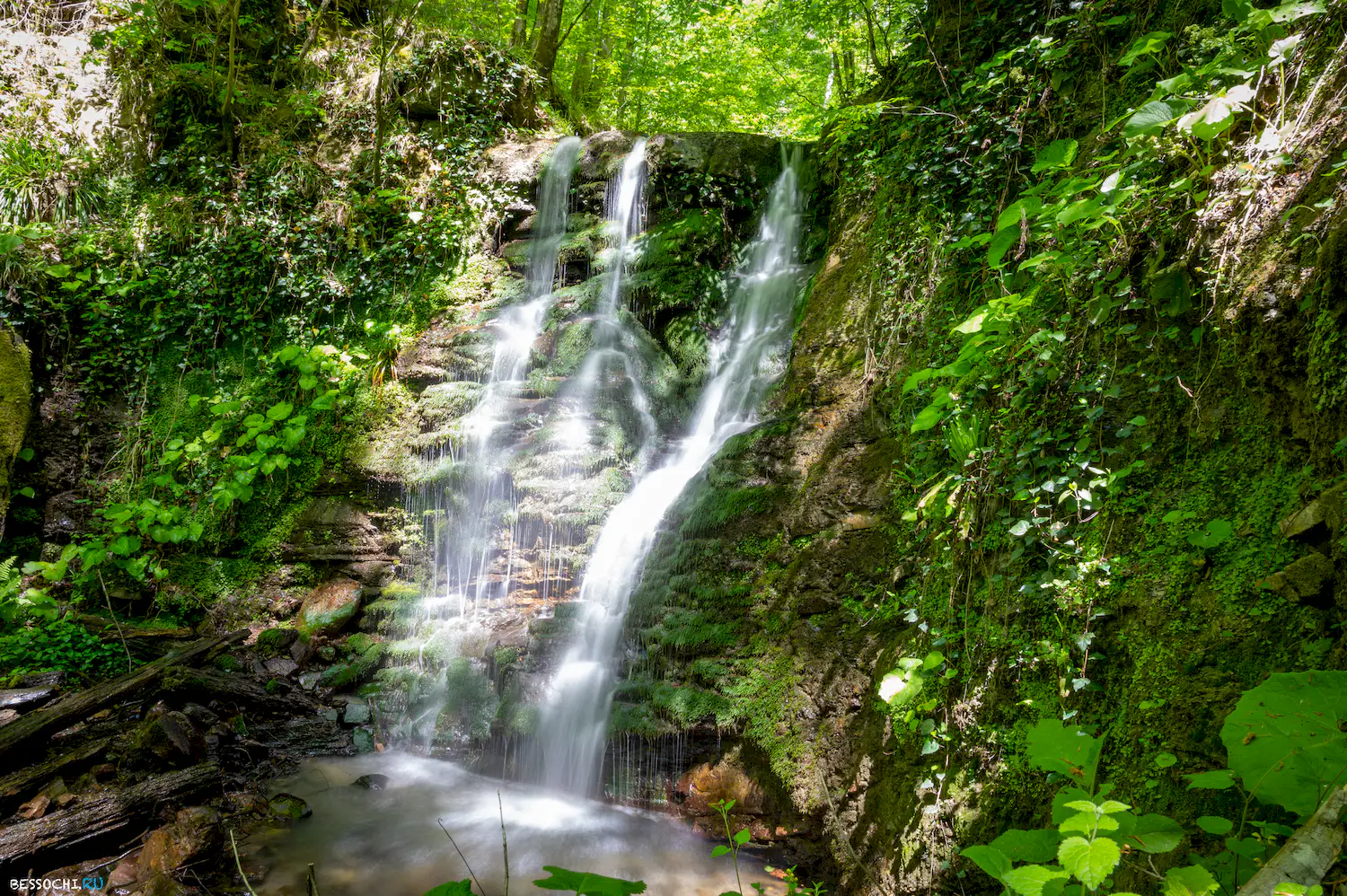 притоки Кутарки
