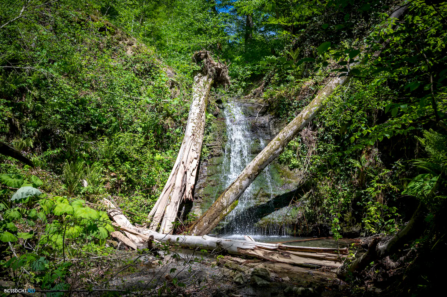 притоки Кутарки